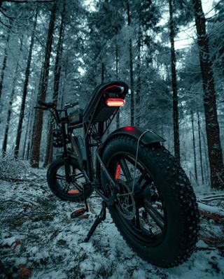 Bicicleta Eléctrica ENGWE M20