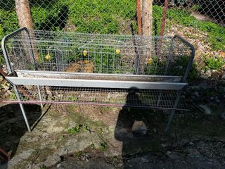 Jaula 4 apartamentos gallinas ponedoras