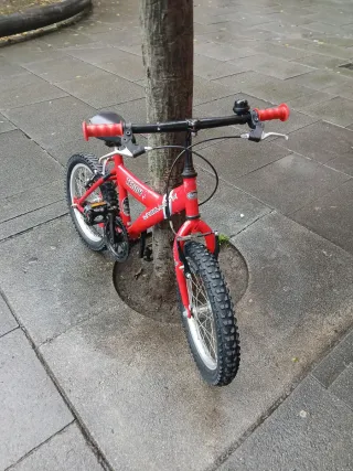 Bicicleta infantil 16 Teddy