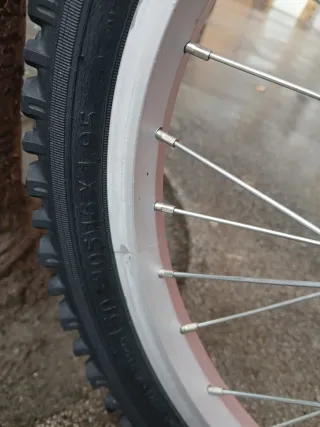 Bicicleta infantil 16 Teddy