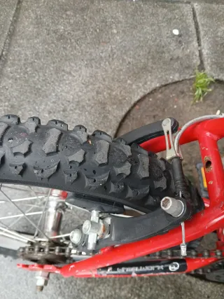 Bicicleta infantil 16 Teddy