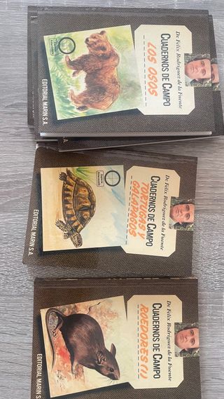 CUADERNOS DE CAMPO BOX SET.