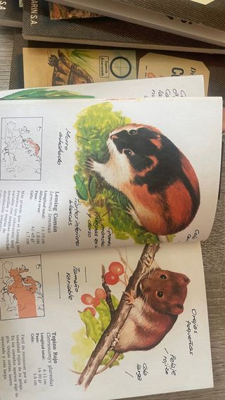 CUADERNOS DE CAMPO BOX SET.