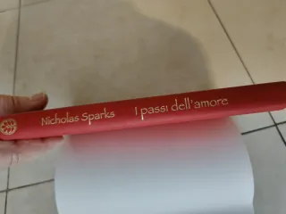 I passi dell'amore libro di Nicholas Sparks