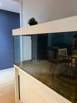 Acuario 350L con mueble blanco. 290 eur negociabls