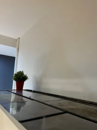 Acuario 350L con mueble blanco. 290 eur negociabls