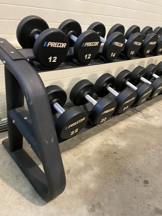 Juego Mancuernas Precor