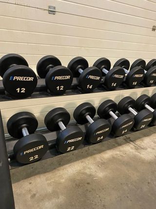 Juego Mancuernas Precor