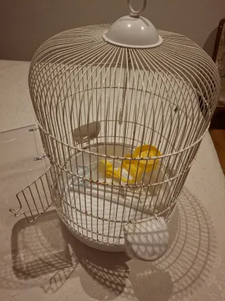 Jaula grande para pájaros 55 x 35