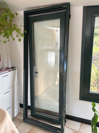 Puerta abatible doble cristal Clim 190x80