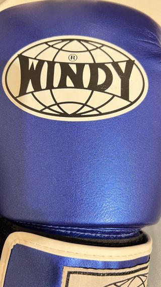Guantes Boxeo Windy 16 oz Nuevos