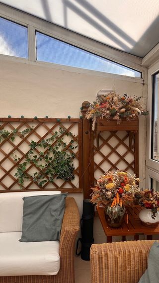 Enredadera de jardín con maceta