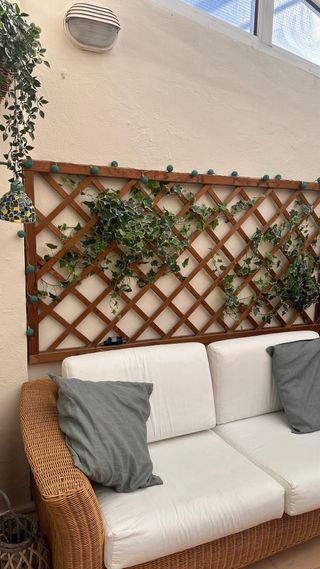 Enredadera de jardín con maceta