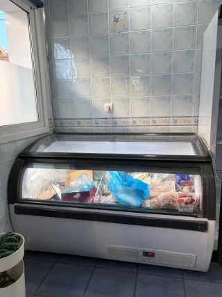 Congelador profesional