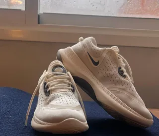 Zapatillas Nike Running Gris y Blanco