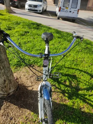Bicicleta Playa Trek Blanca