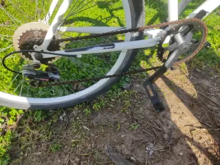 Bicicleta Playa Trek Blanca