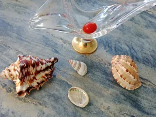 Centro de mesa cristal y caracolas