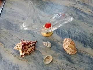 Centro de mesa cristal y caracolas