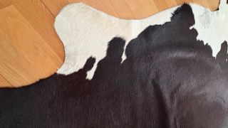 Alfombra de vaca.