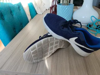 Zapatillas Nike Running Azul y Blanco