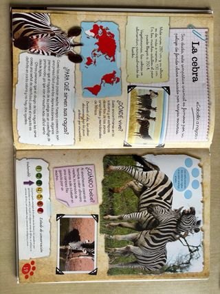 Animales Salvajes (Cuadernos De Naturaleza/ Nat...