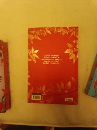 En llamas (Edición especial) / Catching Fire (S...