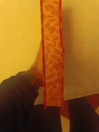 En llamas (Edición especial) / Catching Fire (S...