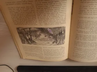 Libro antiguo Biblioteca para niños.