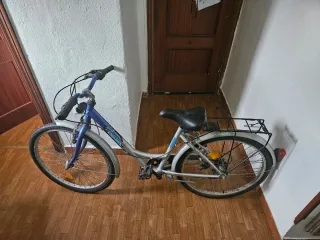 Bicicleta urbana plateada y azul