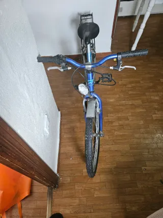 Bicicleta urbana plateada y azul