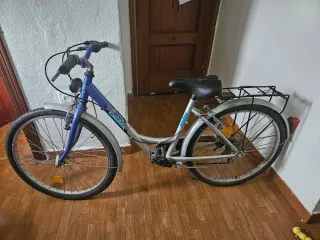 Bicicleta urbana plateada y azul