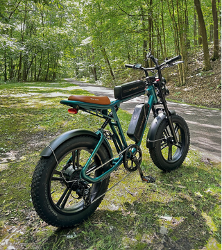 Bicicleta Eléctrica ENGWE M20 Verde