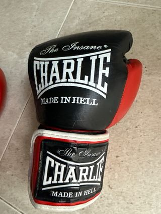 Guantes de Boxeo Charlie 12 oz