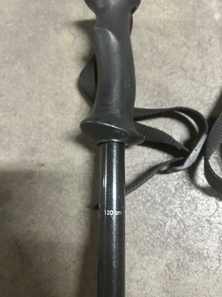 Bastones de esquí Carve Tecno