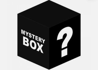 Mystery Box Figurine Harry Potter