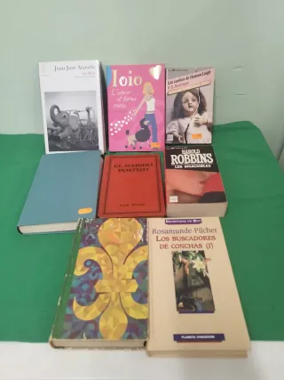 Novela Contemporània y Romàntica