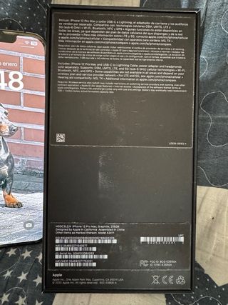 iPhone 12 Pro Max 256 GB