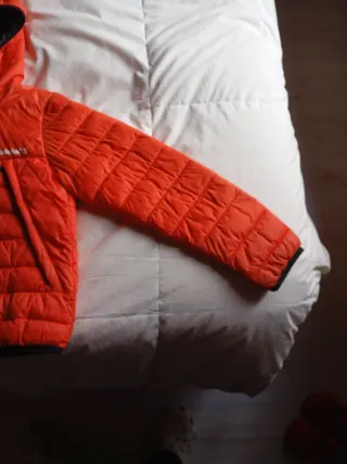 Abrigo técnico Timberland 8 años