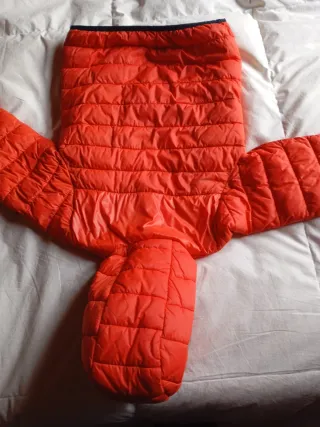 Abrigo técnico Timberland 8 años