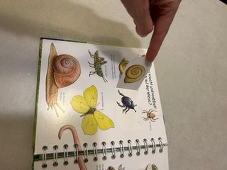 Lote de 17 libros infantiles en alemán