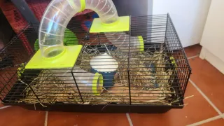 Jaula para hámster con accesorios