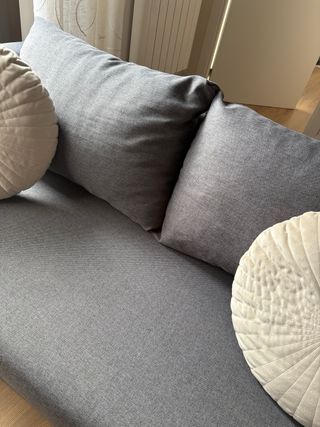 Sofá Cama Gris 2 Plazas