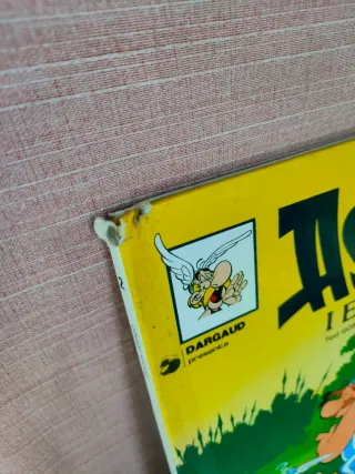 Libro Astérix i els gots