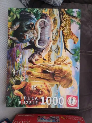 Pack 6 Puzzles: Marvel, Spiderman, Disney