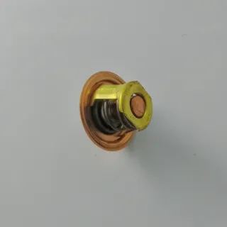 Termostato para motores CVH/EFI 1.4/ 1.6 Ford