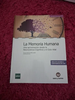 La memoria humana: Una aproximación desde la Ne...