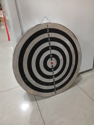 Diana de dardos profesional