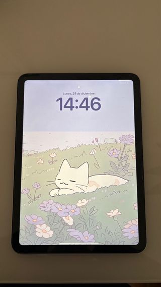 iPad 10ª Gen Caja y Accesorios