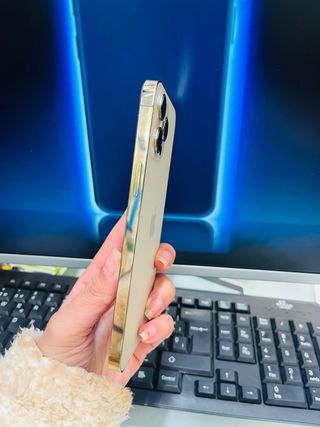 iPhone 12 Pro Max 256GB Dorado